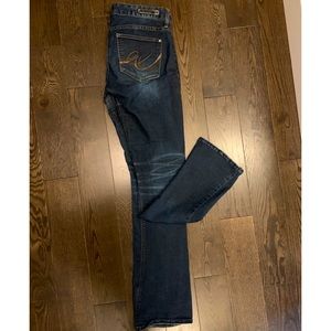 Dark Wash Straight Leg Express Jeans